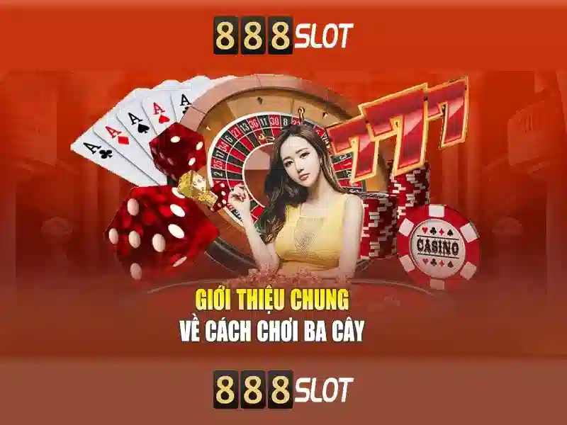 Cải tiến và trải nghiệm người dùng