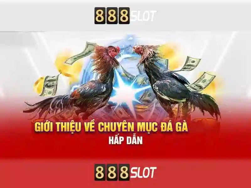 Cách nhận thưởng và khuyến mãi