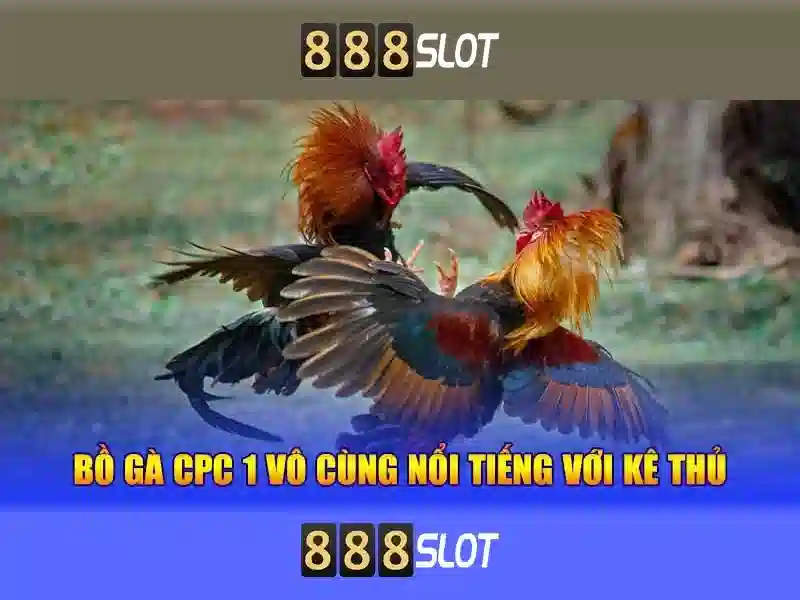 Infographic về quy định đá gà và các khu vực pháp lý