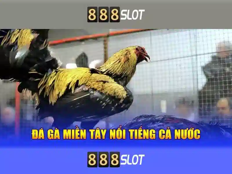 Đánh giá chất lượng trò chơi và slot