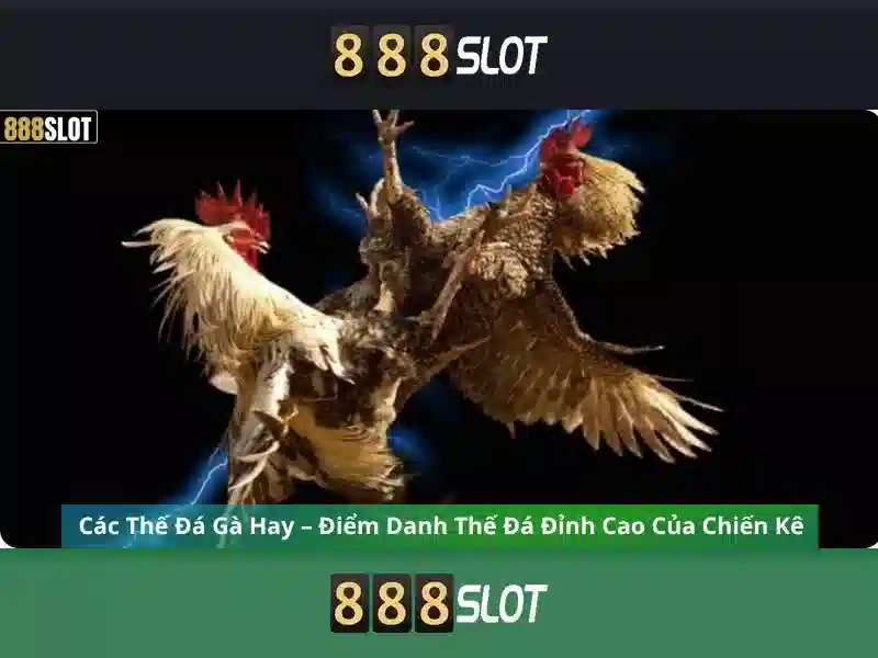888slot - Sự hấp dẫn của nền tảng