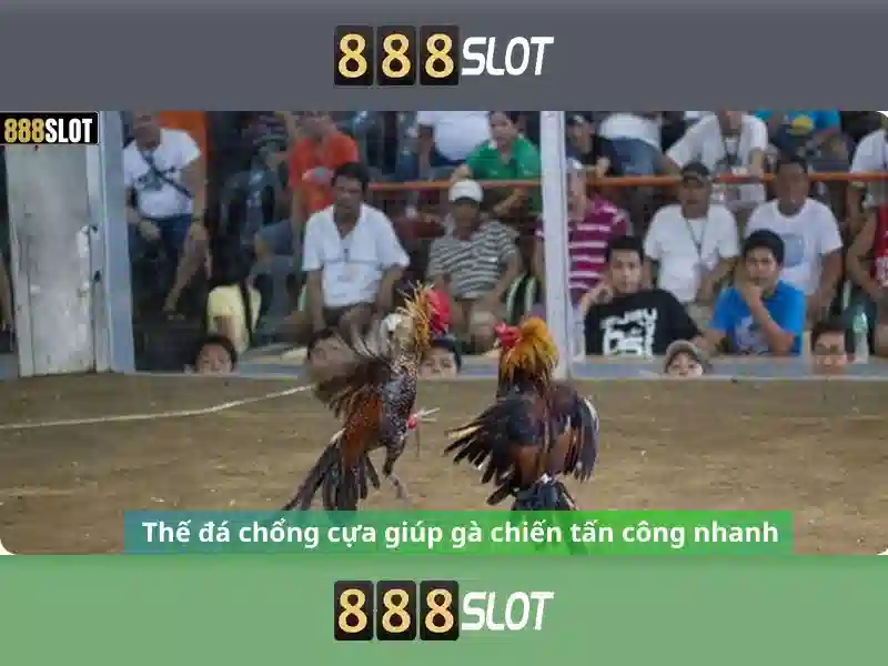 Giao diện nhà cái hoàn hảo