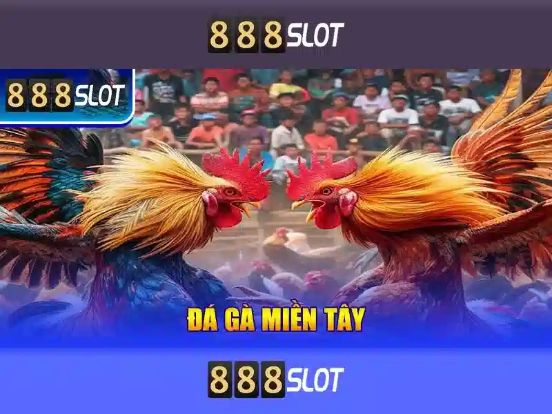 Trải nghiệm người dùng và tương thích