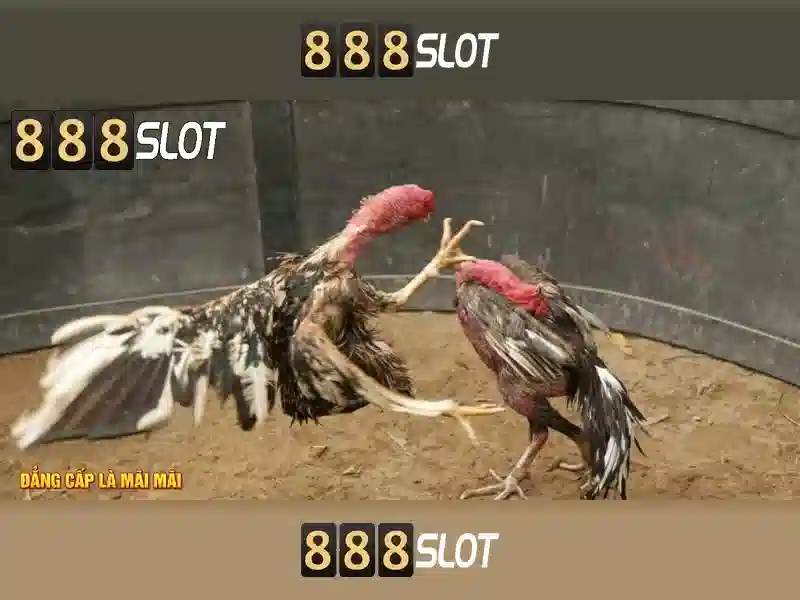 Giao diện trang chủ tải ứng dụng điện thoại di động 888slot sắc nét và hiện đại