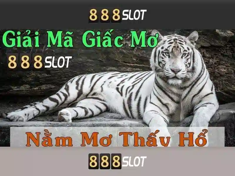 Giao diện nhà cái hoàn hảo