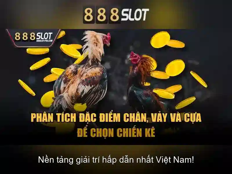 Nền tảng và trải nghiệm người dùng
