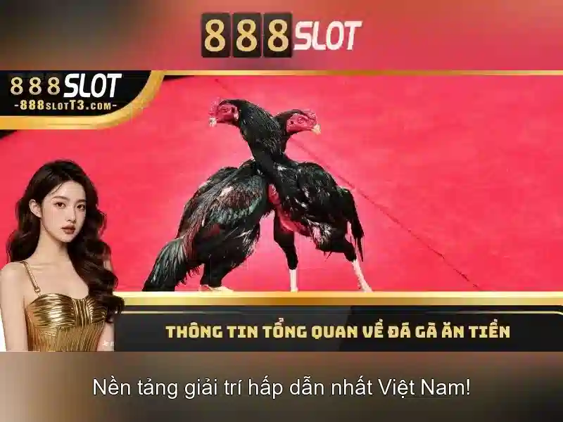 Giao diện nhà cái hoàn hảo