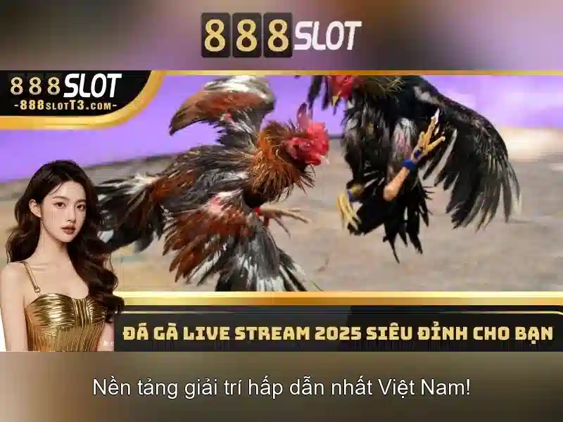 An toàn và thanh toán