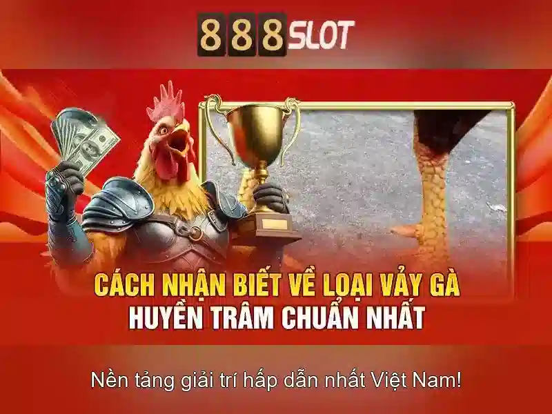 Trải nghiệm di động và cá cược